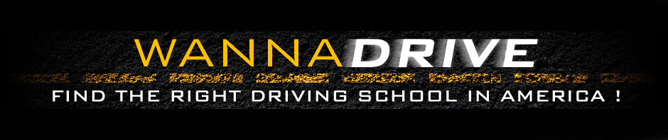 Wannadrive Online Driving School Education