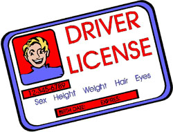 Learn How To Obtain A Graduated Driver’s License